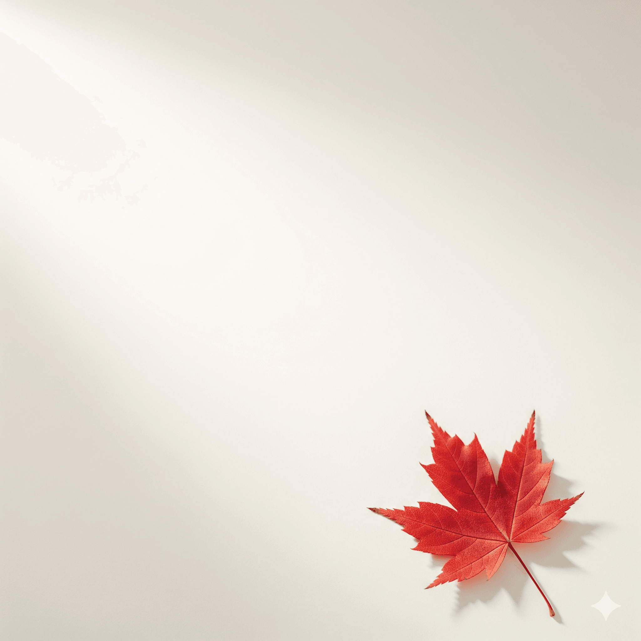 خلفية مبسطة